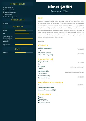 Ressam Cv Örnekleri cv indir